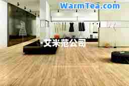 艾米范公司