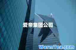 爱帝集团公司