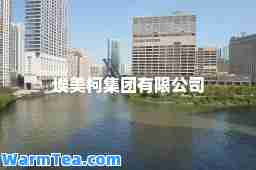埃美柯集团有限公司