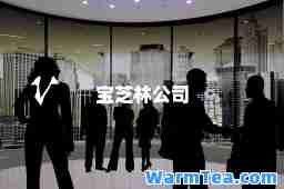 宝芝林公司