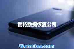 爱特数据恢复公司