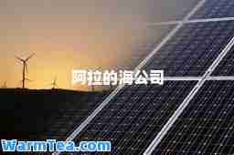 阿拉的海公司