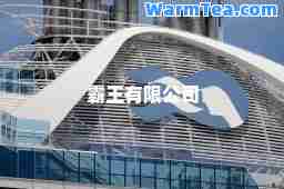 霸王有限公司