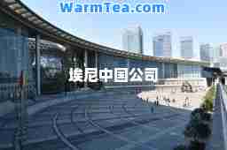 埃尼中国公司