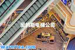 奥的斯电梯公司