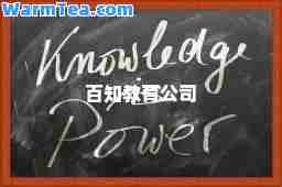 百知教育公司