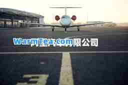 阿里汽车有限公司