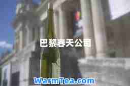 巴黎春天公司