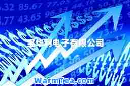 宝华利电子有限公司