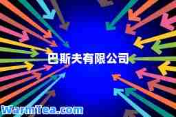 巴斯夫有限公司