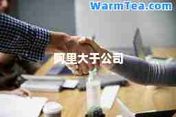 阿里大于公司
