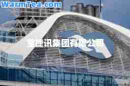 宝捷讯集团有限公司