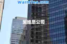 奥维思公司