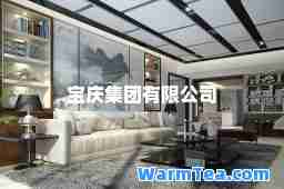 宝庆集团有限公司