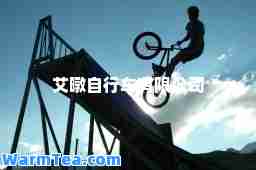 艾暾自行车有限公司