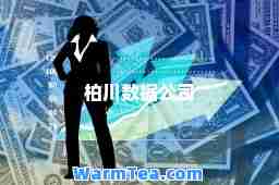 柏川数据公司