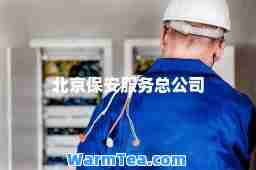 北京保安服务总公司