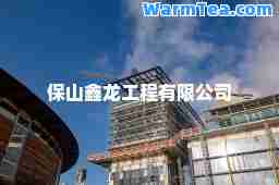 保山鑫龙工程有限公司