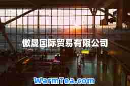 傲晟贸易有限公司