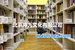 北京冲九文化有限公司