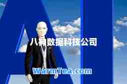 八数据科技公司