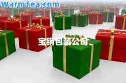 宝钢包装公司 宝钢包装公司