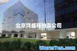 北京鸿盛祥拍卖公司