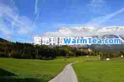 奥地利是能公司