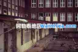 阿勒泰地区电影公司