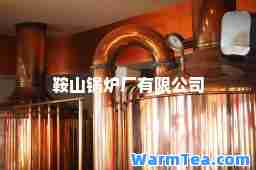 鞍山锅炉厂有限公司