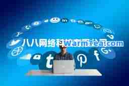 八八网络科技有限公司