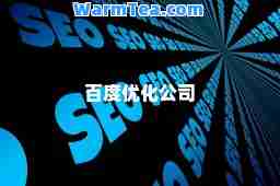 百度优化公司