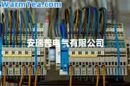 安瑞普电气有限公司