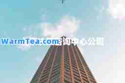 北京决策咨询中心公司