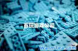 百玩游戏公司