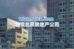 北京北辰房地产公司