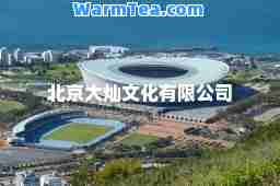 北京大灿文化有限公司