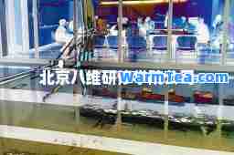 北京八维研修学院公司