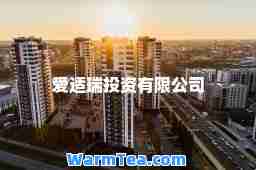 爱适瑞投资有限公司