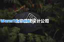 北京品牌设计公司