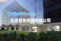 北京笛东投资有限公司