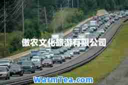 傲农文化旅游有限公司