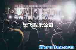 奥飞娱乐公司