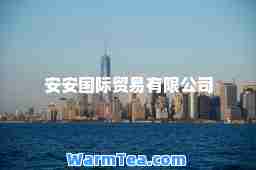 安安贸易有限公司