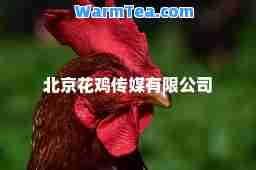 北京花鸡传媒有限公司