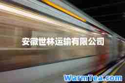 安徽世林运输有限公司