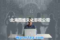 北海四维文化影视公司