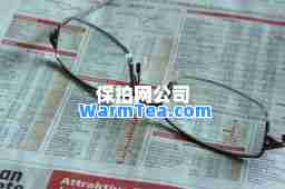 保拍网公司