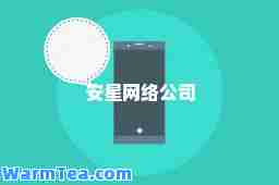 安星网络公司