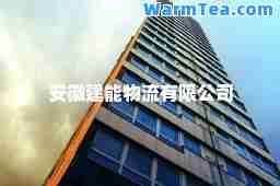 安徽建能物流有限公司